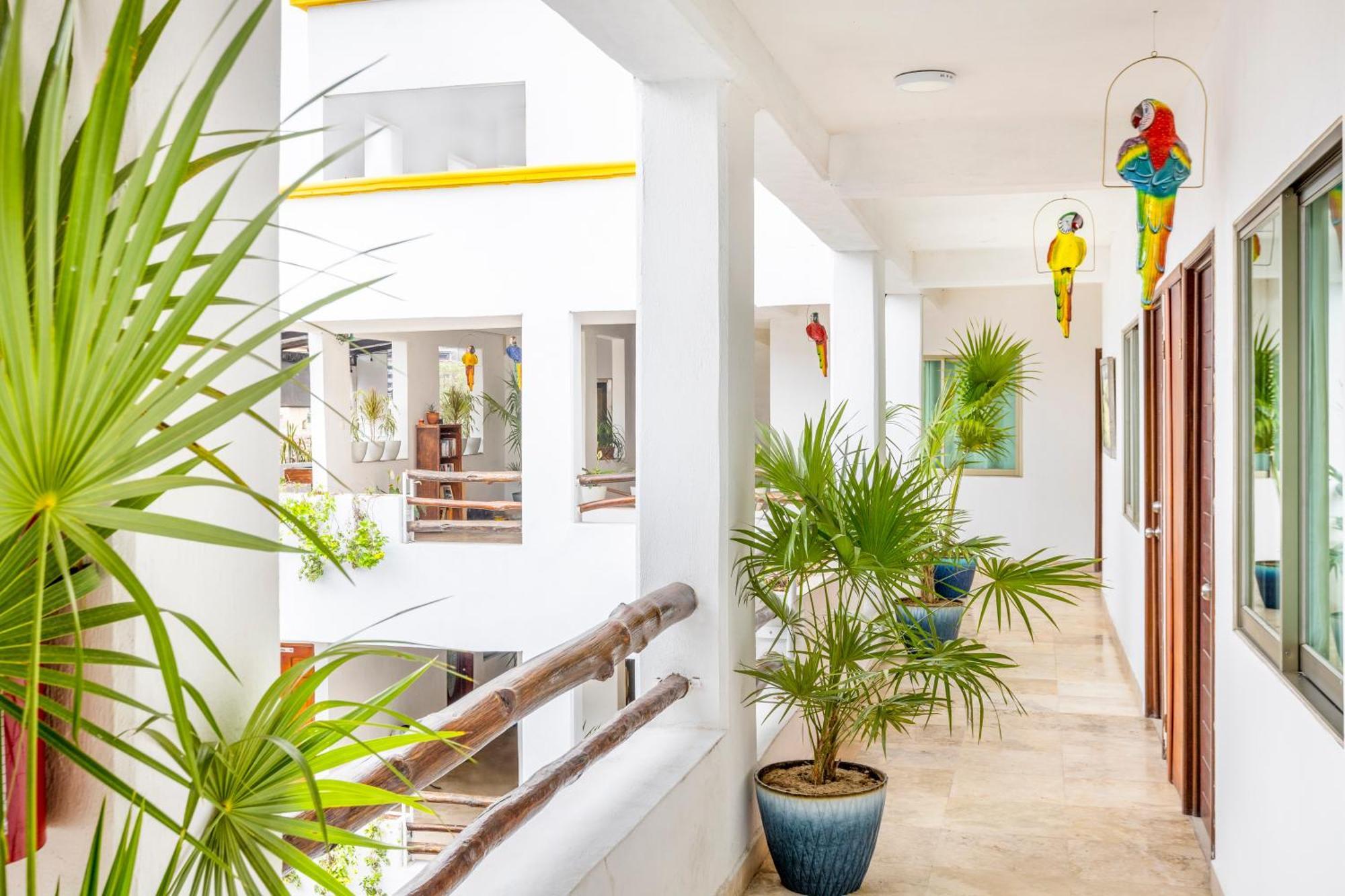 Hotel Pueblito Vallarta Puerto Vallarta Eksteriør bilde